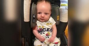 Josiah Roy-O'Neil Honeycutt Obituary: Salyersville, Kentucky Two-month-old Died On July 8, 2026